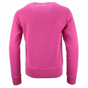 Dsquared2 Sweater Roze Maple Leaf